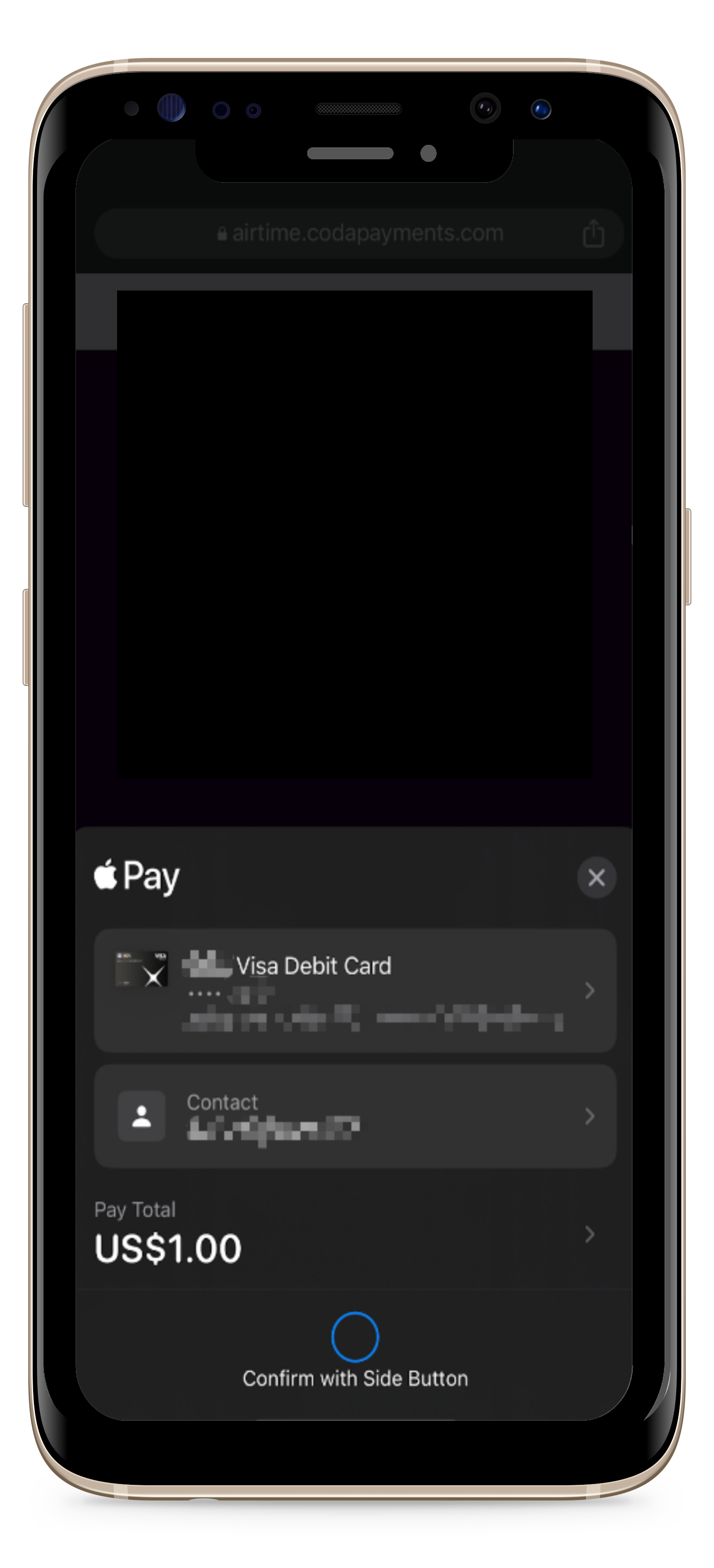 SA Apple Pay.png